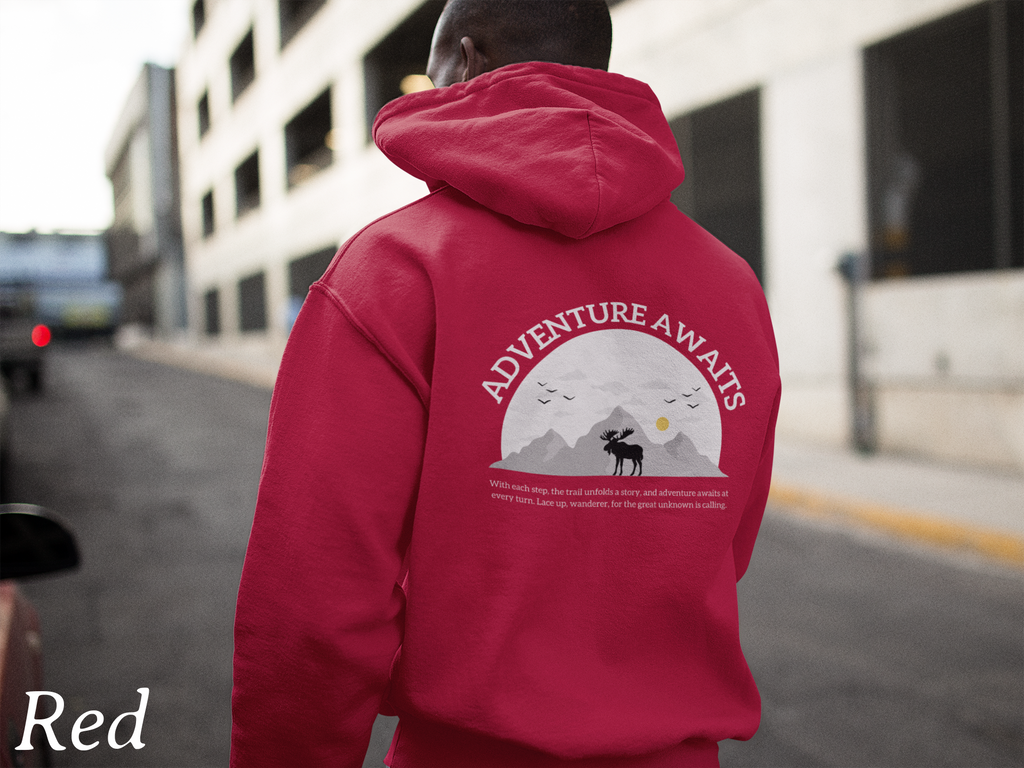 Adventure Awaits Hoodie