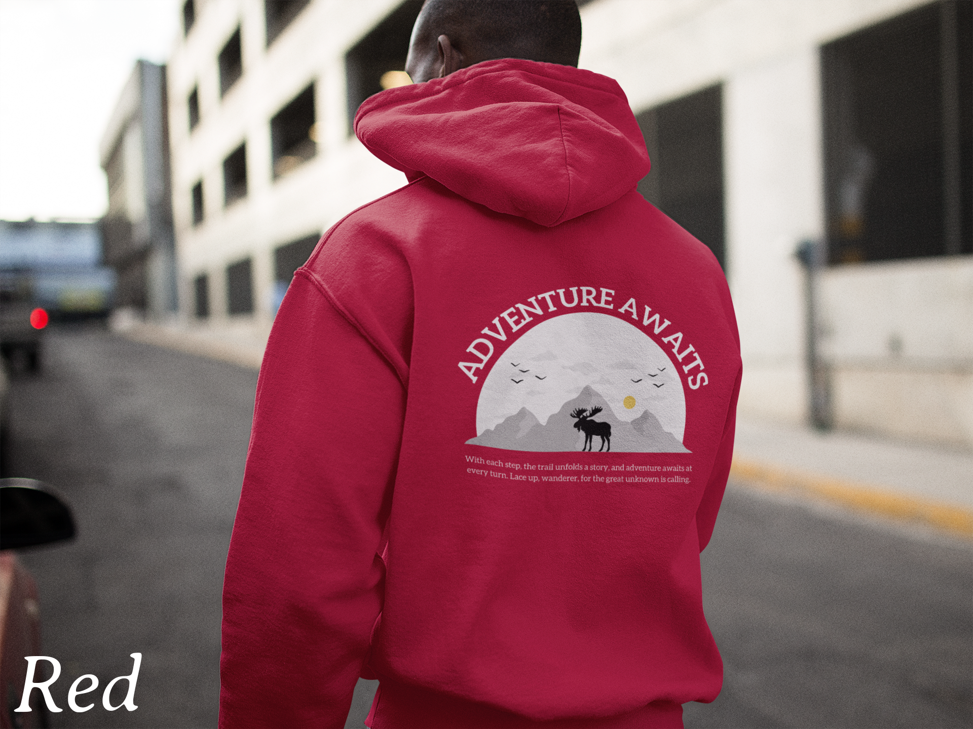 Adventure Awaits Hoodie